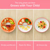 OMIE Easy Scoop Plate
