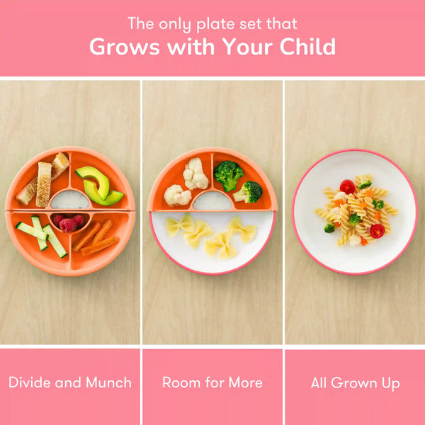 OMIE Easy Scoop Plate
