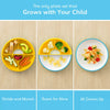 OMIE Easy Scoop Plate