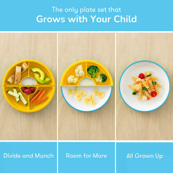OMIE Easy Scoop Plate